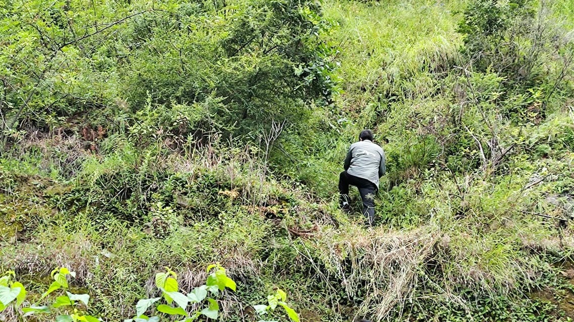 南宫ng28相信品牌力量·(中国)官方网站