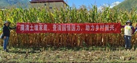 南宫ng28相信品牌力量·(中国)官方网站