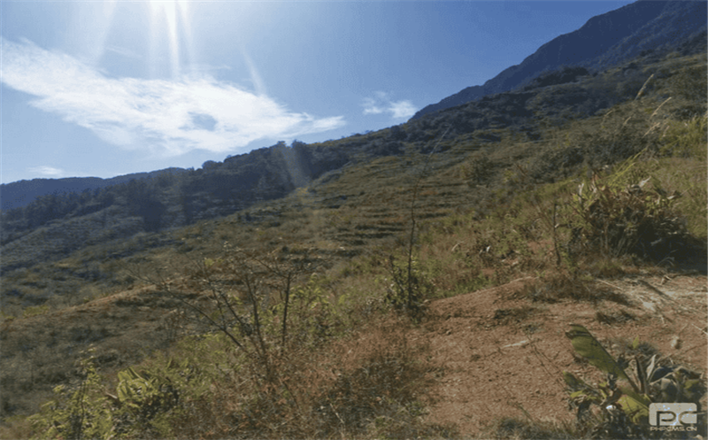 核西南院土地整治重点项目顺利推进