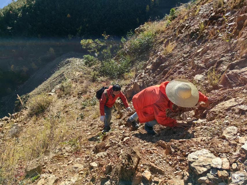 南宫ng28相信品牌力量·(中国)官方网站