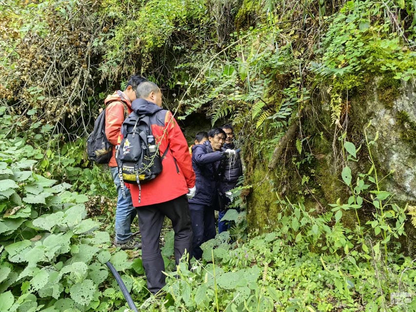 南宫ng28相信品牌力量·(中国)官方网站