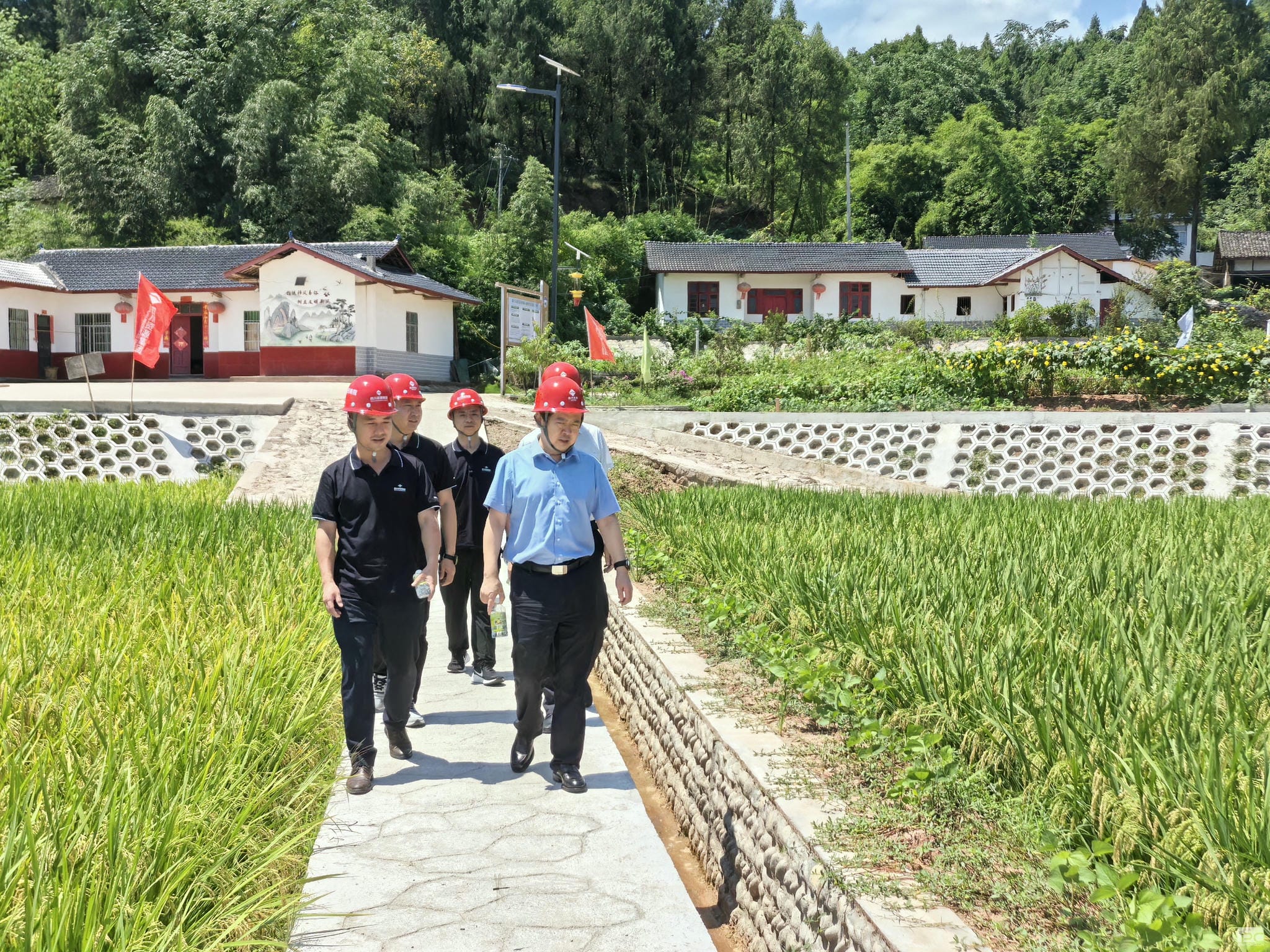 南宫ng28相信品牌力量·(中国)官方网站