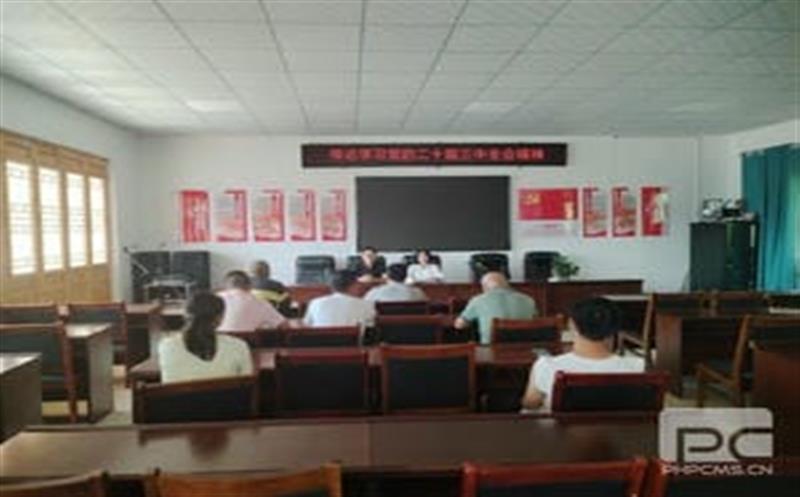 学习党的二十届三中全会精神，，，，，，华锋钻探助力乡村振兴新征程